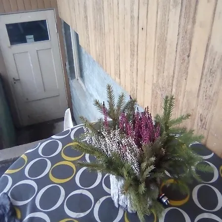 дом с прекрасным видом на озере сайма в г. Sulkava Finland Lägenhet Sulkava (Southern Savonia)